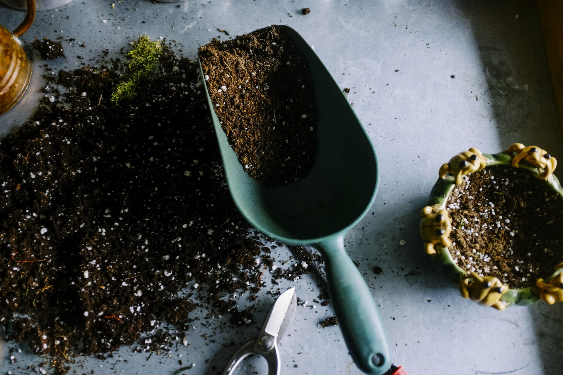 Green garden trowel filled with dark soil alongside pruning scissors on a grey surface